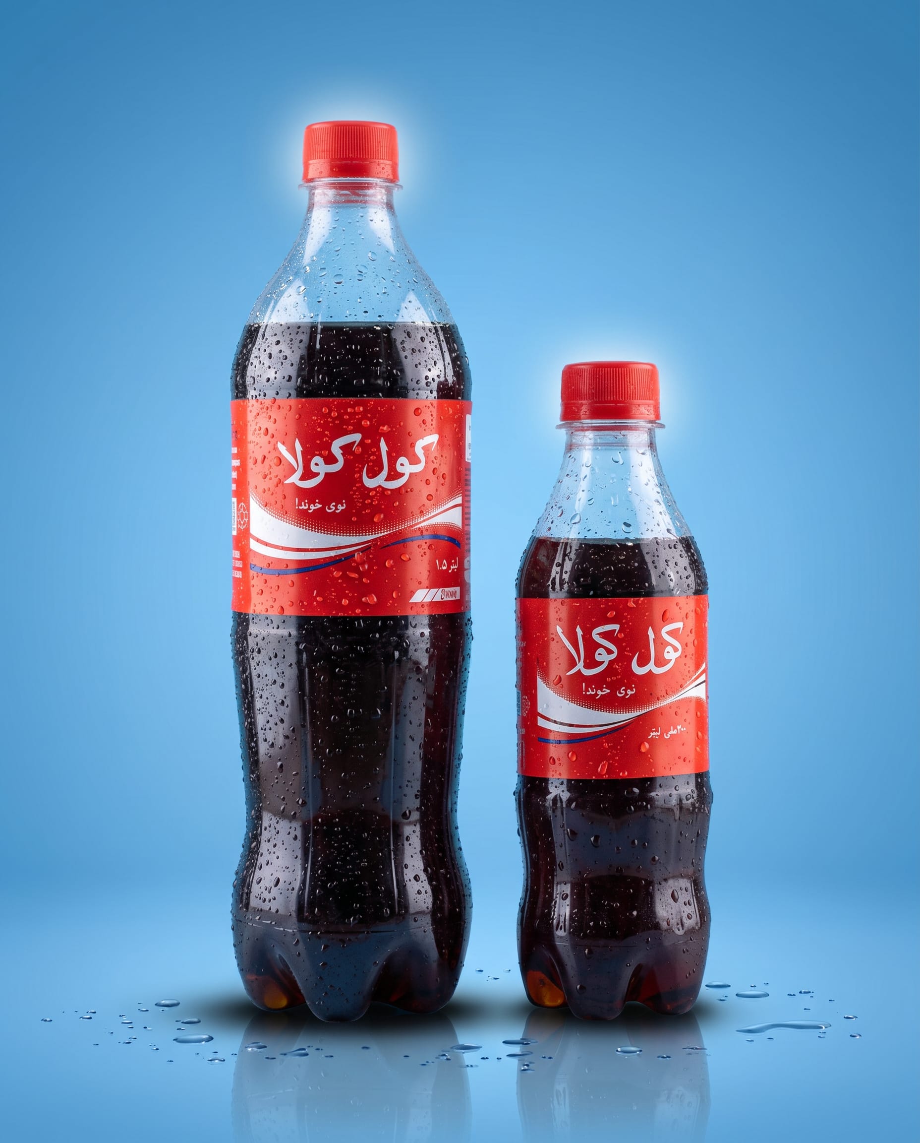 bottle cola (1)